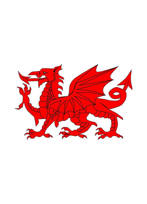 Welsh Dragon Tattoo