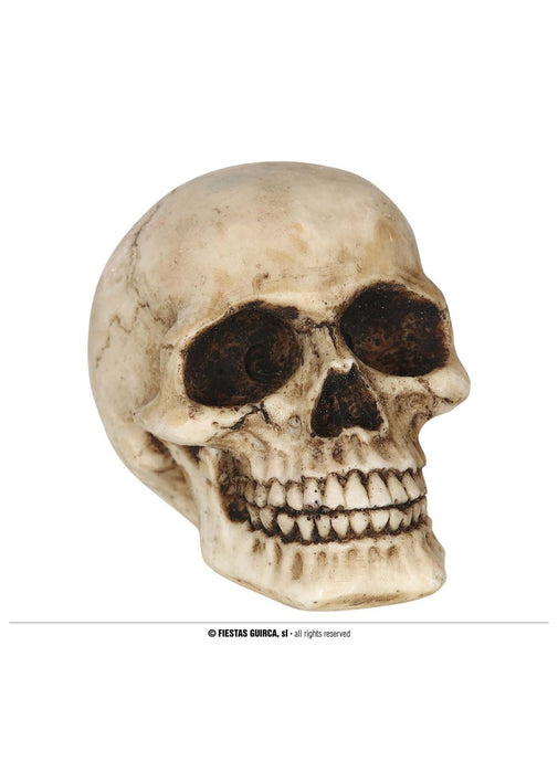 Resin Skull Decoration 8cm