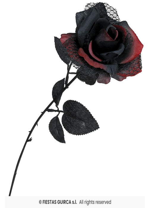 Red & Black Rose
