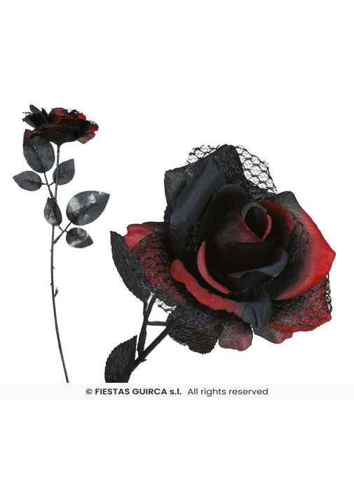 Red & Black Rose