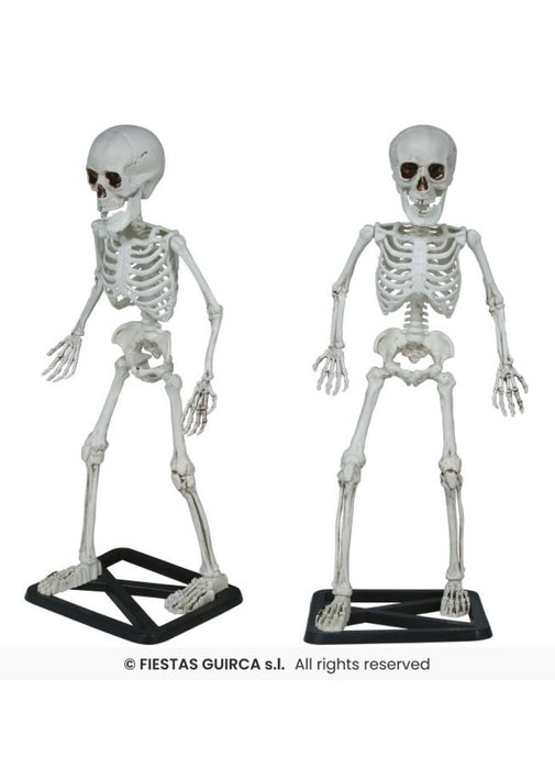 Standing Skeleton