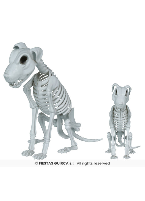 Dog Skeleton