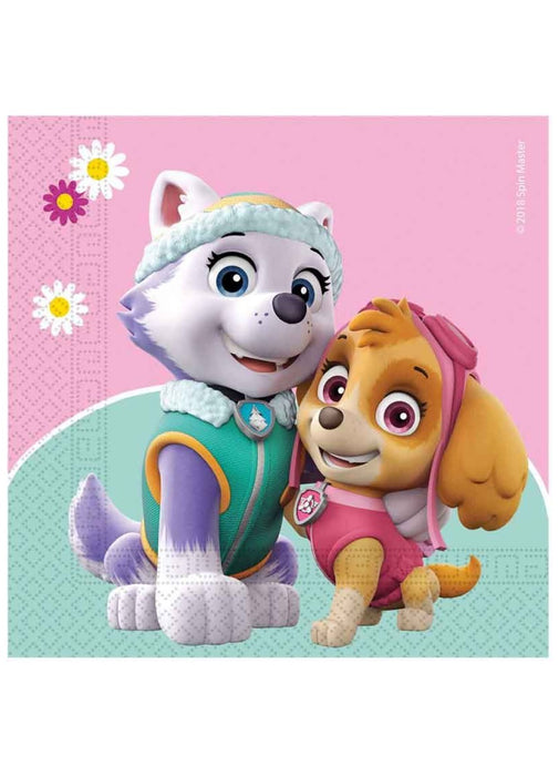 Paw Patrol Skye Napkins 20pk