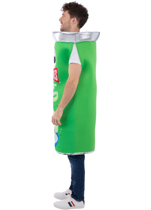 Pringles Can Sour Cream & Onion Costume