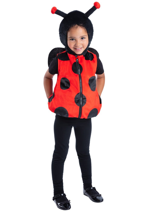 Ladybird Costume