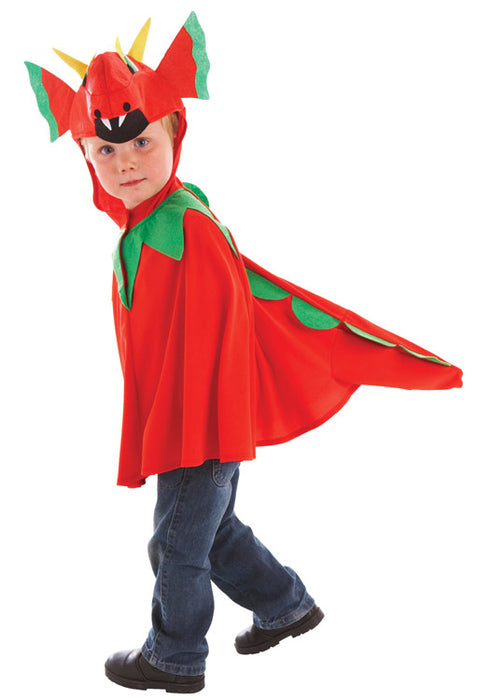 Friendly Dragon Costume Child