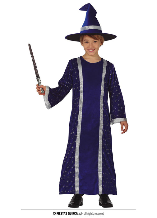 Wise Wizard Costume