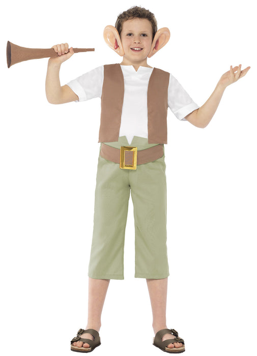 Roald Dahl BFG Costume Child