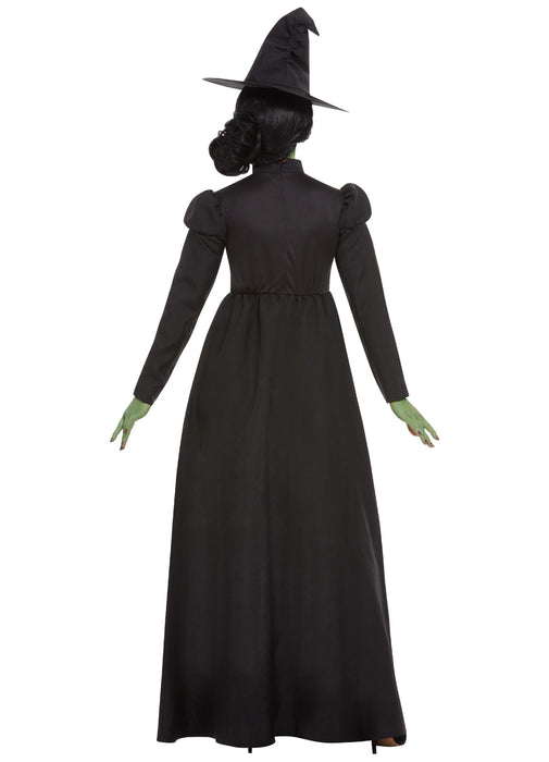 Wicked Witch Costume Adult